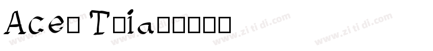 Ace_ Trial字体转换